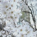 제이클린하우스 이미지