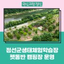 정선군생태체험학습장캠핑장 이미지
