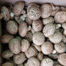 백곡농장 이미지