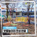 백봉초등학교(병설) 이미지