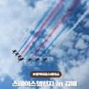 [생태체험] 대저생태공원 - 6월 23일(일) 오전 | 김해 블랙이글스 에어쇼 준비물 관람후기 스페이스챌리지 생생후기