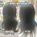 하단 미용실, 부드러운 머릿결을 만들고 싶다면 _ 반하다 헤어 하단점
