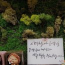 늘푸른건강프라자 이미지