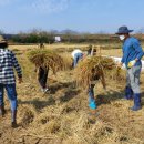 주남초등학교 이미지