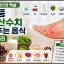 통풍 요산수치 낮추는 음식 총정리 이미지