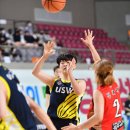 임진체육관 이미지