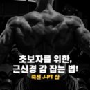 JPT샵 이미지
