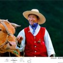 쇠골농장 이미지