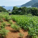 남해-230 이미지