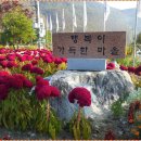 용석1리마을회관 이미지