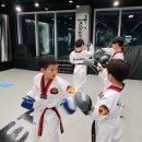 케이타이거즈(KTIGERS) 태권도장 이미지