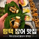 청원로 | 평택장어맛집 백마강참숯민물장어 평택점 청북 회식 추천 장어구이 맛집 재재재방문후기