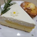 당진시 당진중앙1로 | 당진 베이커리 카페 두바이 디저트 맛있는 살라지살리