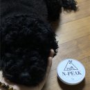 엔픽(N-peak) 이미지