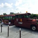 고창고인돌(서울) 이미지