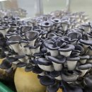 이인농장 이미지