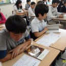 서울봉현초등학교 이미지