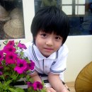 샤방샤방 이미지