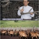 라라목장 이미지