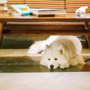 스마트카센타 이미지