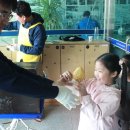 합천초등학교 이미지