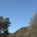 강원이용원 | 원주 오크밸리 아이동반 가족여행 1탄 | 퍼니팩토리 펀드라이브 버기카 내돈내산 후기