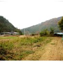 삼성사슴농장 이미지