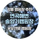 솔향기 | 강릉연곡해변 솔향기캠핑장추천 오션뷰캠핑 후기
