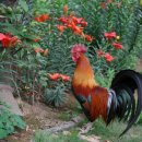 영팔농장 이미지