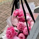 4월과 5월 그 사이 한 치 앞을 몰랐던 돼지런한 나 (택시 교통사고, 본가꼬막짬뽕, LDM 관리, 작약...