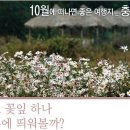 10월에 떠나면 딱~ 좋은 여행지를 친절하게 소개해 드립니다~ 이미지