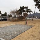 솔밭캠핑장 티스토리