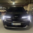 카나이스 이미지