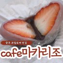 디저트계의 레전드! 광주 과일모찌 맛집 cafe 마카리조