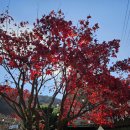 젊은날의수채화 | 서울 근교 부모님 아이들과 함께 가기 좋은 추억 여행 가능한 청암민속박물관 내돈내산 솔직 후기