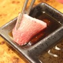 참치가바다애