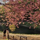 문수사(서산)
