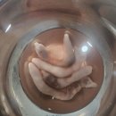 태안 마검포해수욕장 앞 마검포힐링캠핑장 후기
