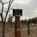 71 | 연천재인폭포오토캠핑장 A-71 사이트 카라반 후기 220304