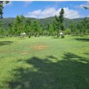 파크골프장(2) 이미지