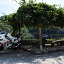 섬진농장 이미지