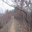 안동여자중학교 이미지