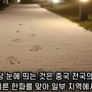 G2511 이미지