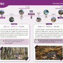 갈맷길(7-1구간) 이미지