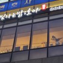 빛나는밤호야 이미지