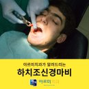 아르미 티스토리