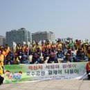 고양화전31 이미지