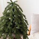 88미니마트 이미지