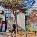 캣인큐브 이미지