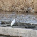 황전(순천) 이미지